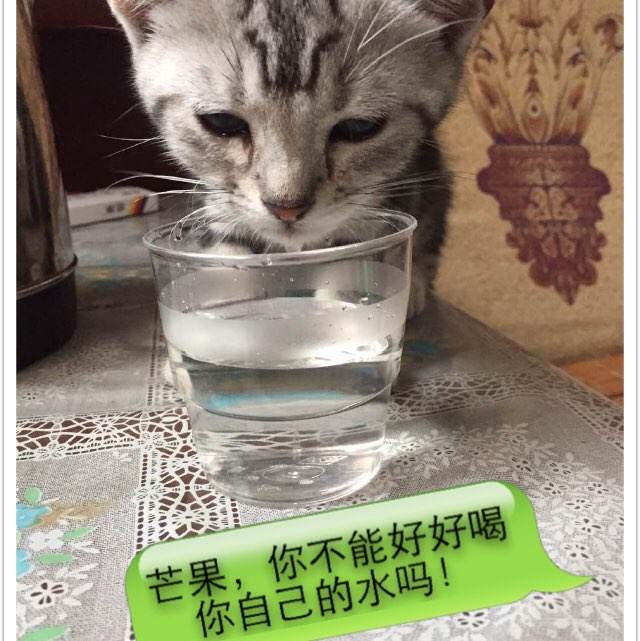 毕业证和学位证时间不一样有影响吗